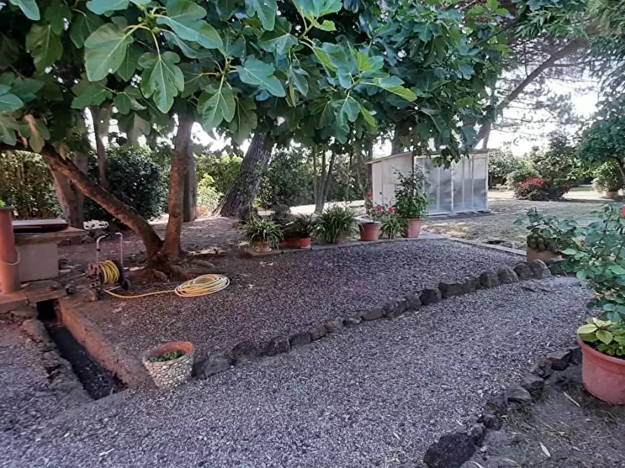 Immagine 1 di Villa in vendita  a Rosignano Marittimo