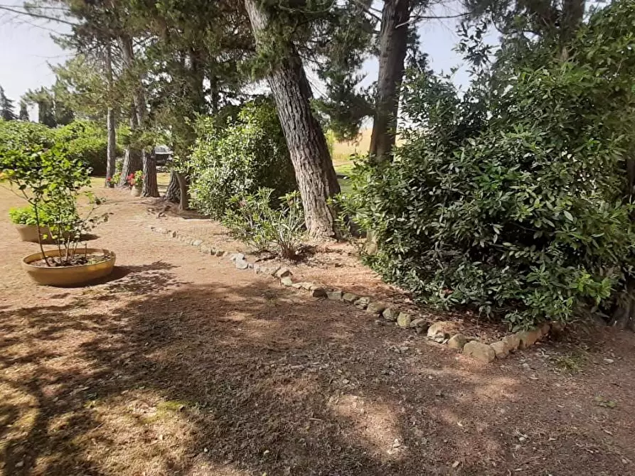 Immagine 10 di Villa in vendita  a Rosignano Marittimo