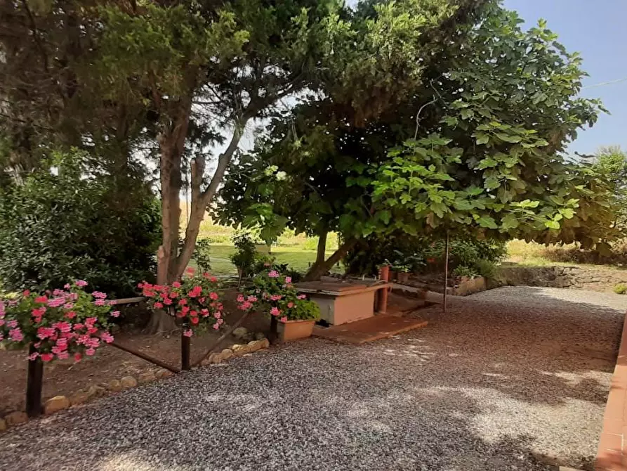 Immagine 6 di Villa in vendita  a Rosignano Marittimo