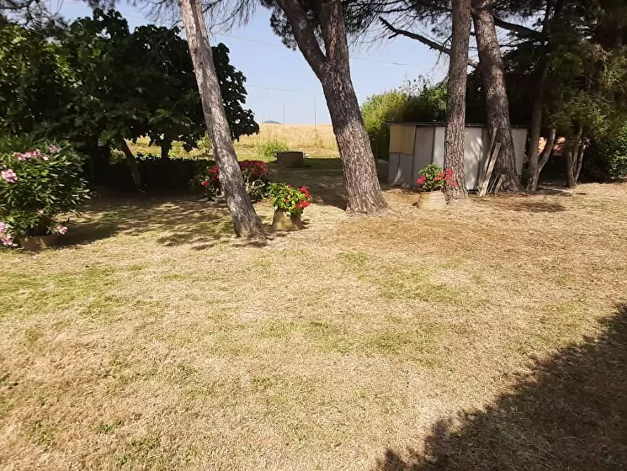 Immagine 12 di Villa in vendita  a Rosignano Marittimo