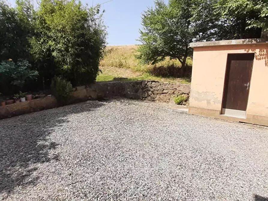 Immagine 17 di Villa in vendita  a Rosignano Marittimo