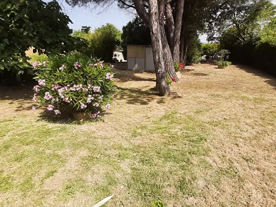 Immagine 11 di Villa in vendita  a Rosignano Marittimo