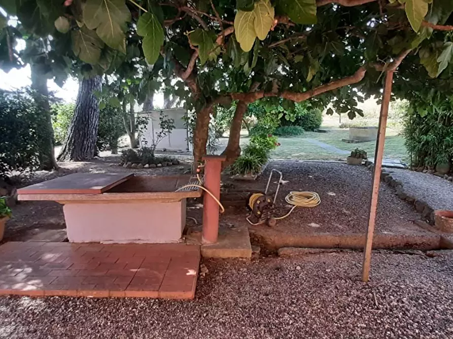 Immagine 9 di Villa in vendita  a Rosignano Marittimo