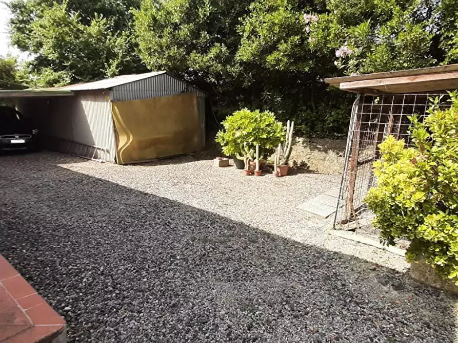 Immagine 7 di Villa in vendita  a Rosignano Marittimo