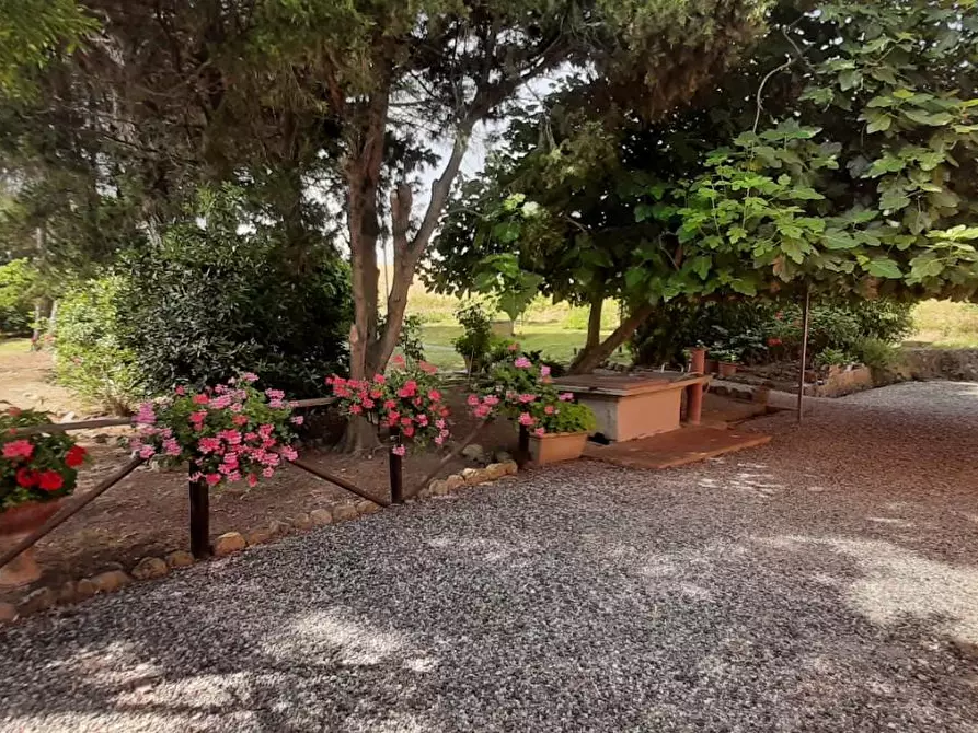 Immagine 19 di Villa in vendita  a Rosignano Marittimo