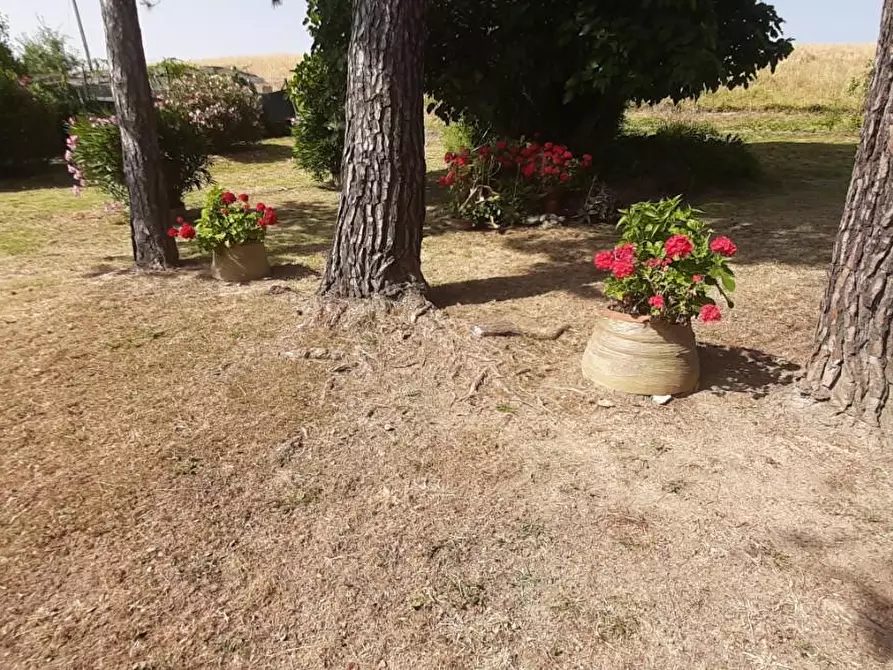 Immagine 16 di Villa in vendita  a Rosignano Marittimo
