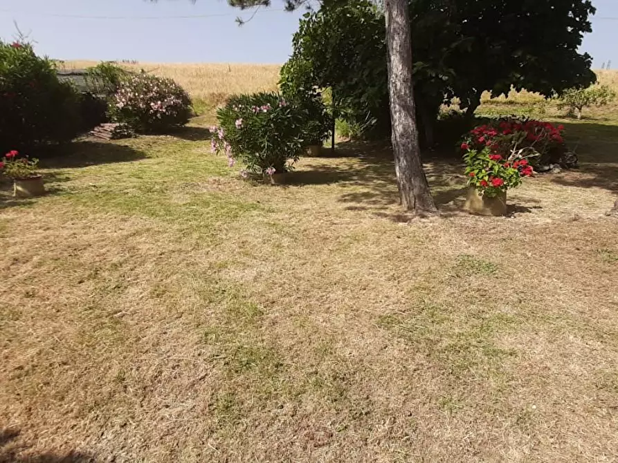 Immagine 15 di Villa in vendita  a Rosignano Marittimo