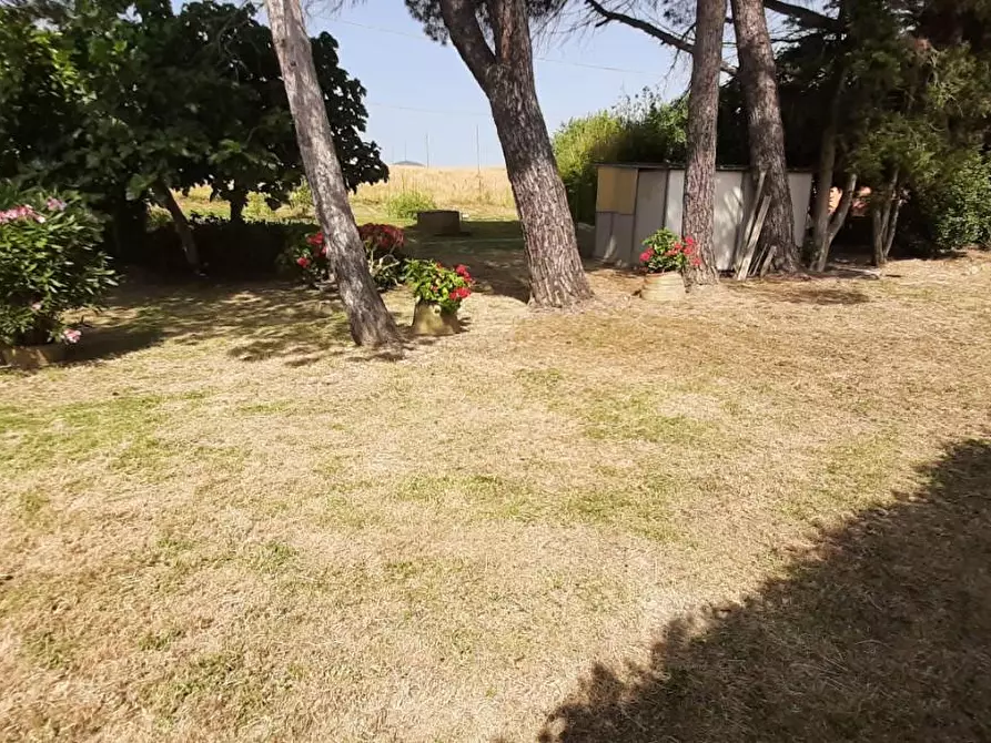Immagine 18 di Villa in vendita  a Rosignano Marittimo