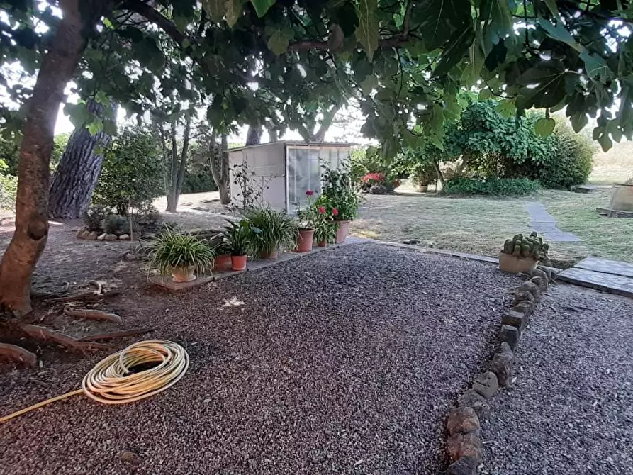 Immagine 13 di Villa in vendita  a Rosignano Marittimo