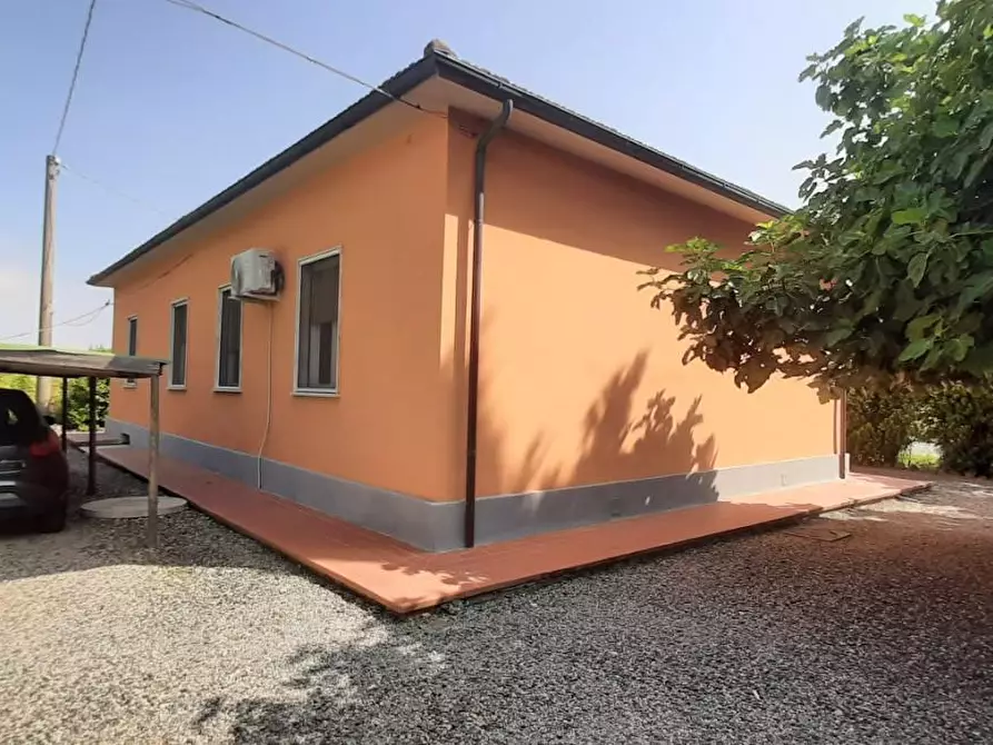 Immagine 4 di Villa in vendita  a Rosignano Marittimo