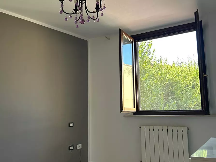 Immagine 11 di Appartamento in vendita  a Cecina