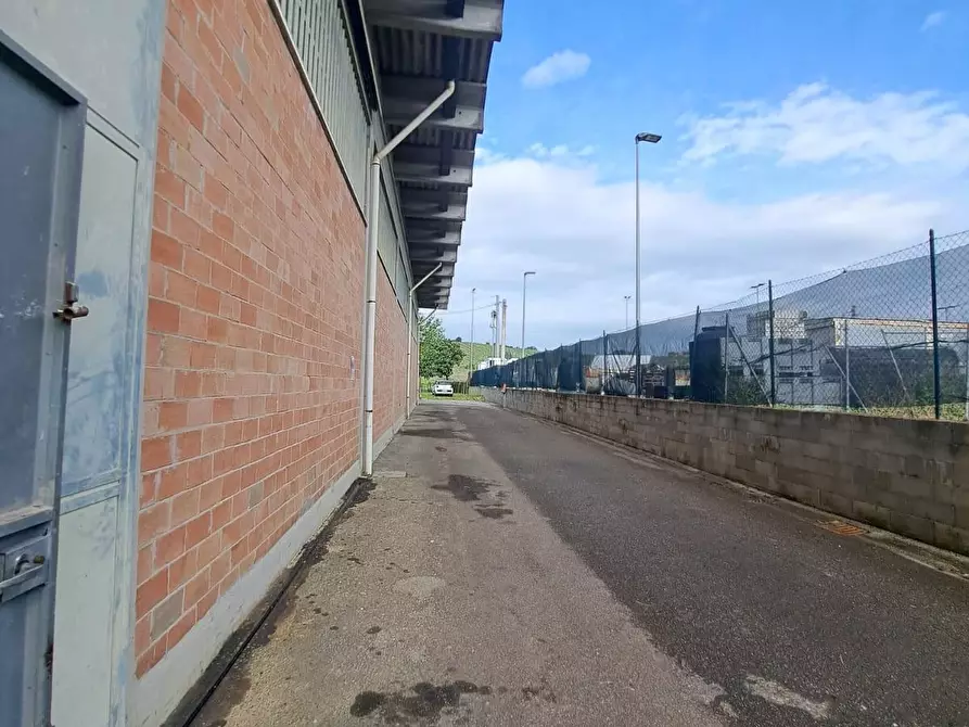 Immagine 6 di Attività artigianale in vendita  a Vinci