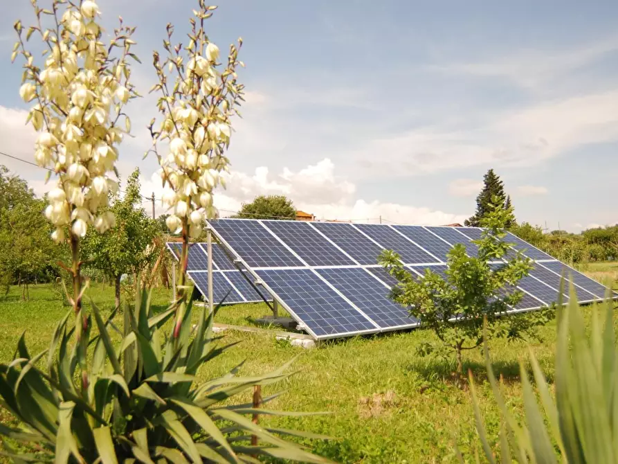 Immagine 20 di Rustico / casale in vendita  a Capannori