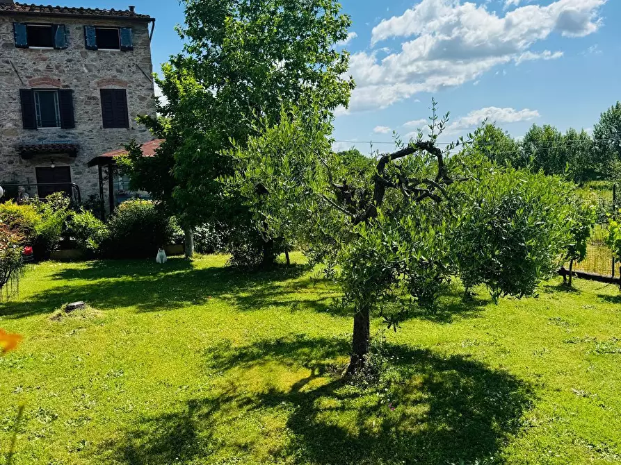 Immagine 45 di Rustico / casale in vendita  a Capannori