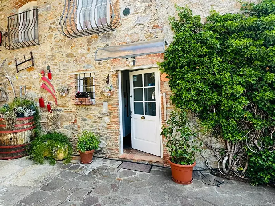 Immagine 29 di Rustico / casale in vendita  a Capannori