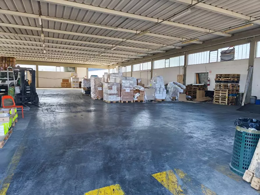 Immagine 2 di Capannone industriale in affitto  a Ponsacco