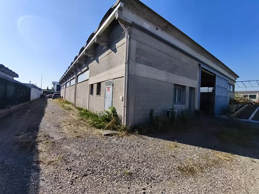 Immagine 4 di Capannone industriale in affitto  a Ponsacco