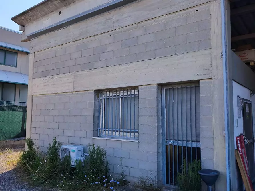 Immagine 3 di Capannone industriale in affitto  a Ponsacco