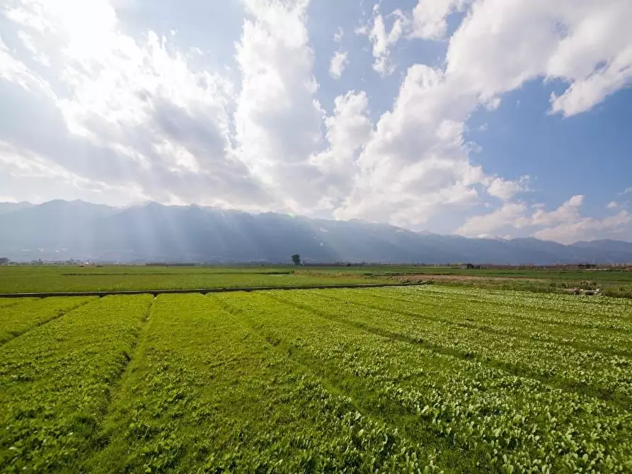 Immagine 1 di Terreno agricolo in vendita  a Carrara