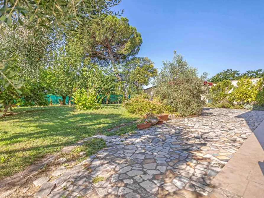 Immagine 10 di Rustico / casale in vendita  a Cascina