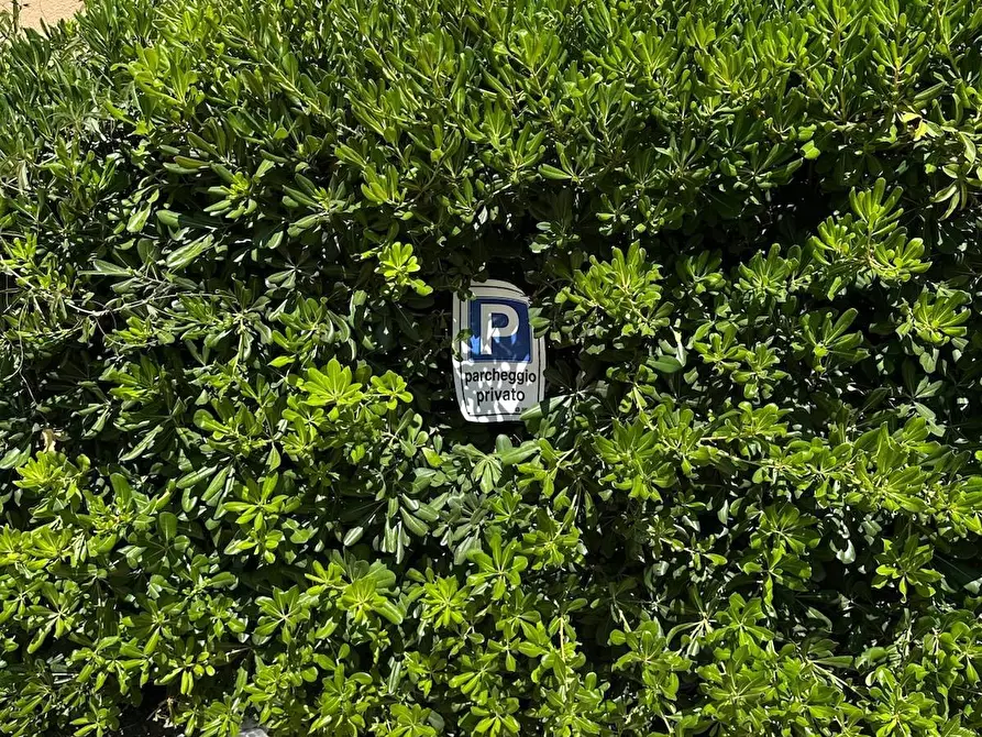 Immagine 15 di Appartamento in vendita  a Porto Azzurro