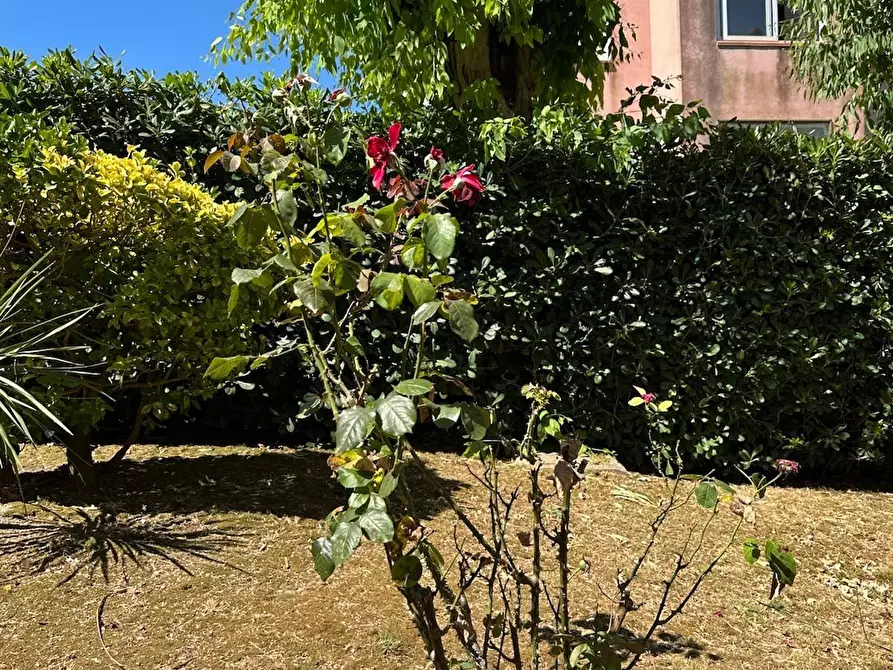 Immagine 17 di Appartamento in vendita  a Porto Azzurro