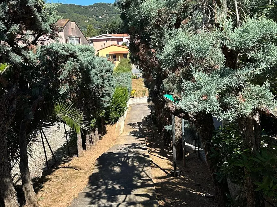 Immagine 13 di Appartamento in vendita  a Porto Azzurro