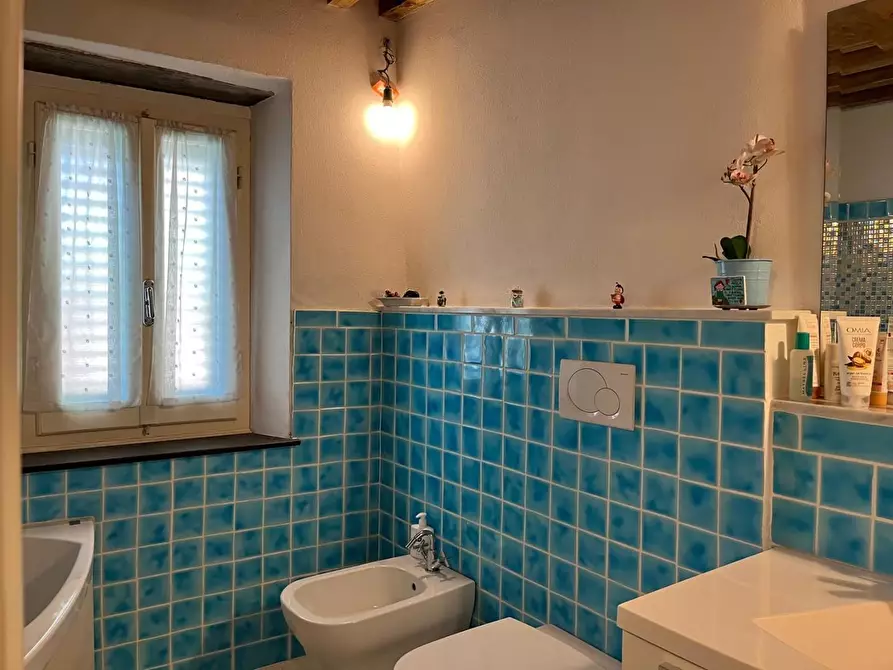 Immagine 15 di Terratetto in vendita  a Camaiore