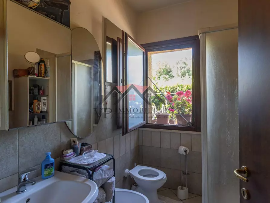 Immagine 3 di Appartamento in vendita  a Guardistallo