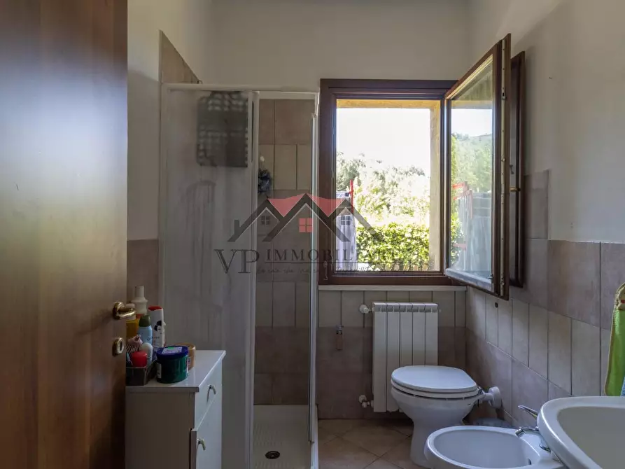 Immagine 6 di Appartamento in vendita  a Guardistallo