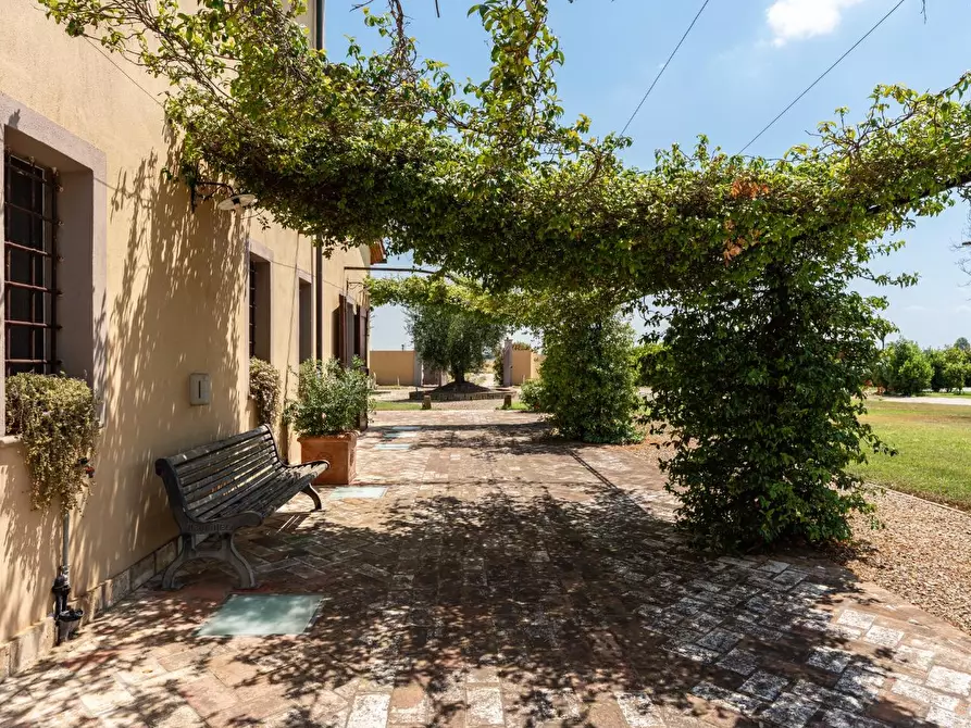 Immagine 6 di Casa colonica in vendita  a Cascina