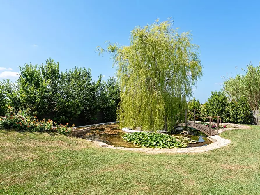 Immagine 3 di Casa colonica in vendita  a Cascina