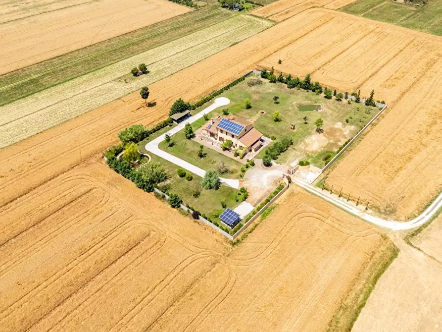 Immagine 32 di Casa colonica in vendita  a Cascina