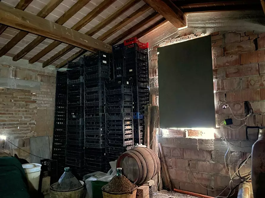 Immagine 82 di Casa colonica in vendita  a San Miniato