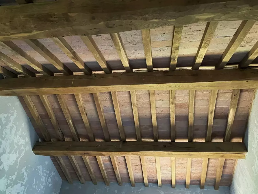 Immagine 21 di Casa colonica in vendita  a San Miniato