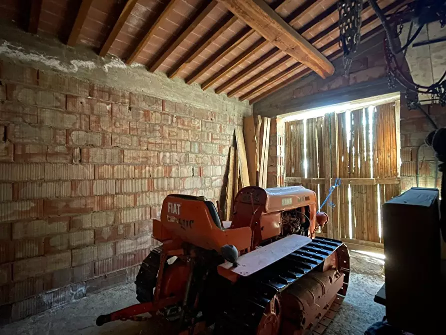 Immagine 76 di Casa colonica in vendita  a San Miniato