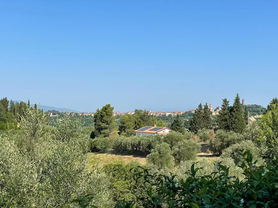 Immagine 6 di Casa colonica in vendita  a San Miniato