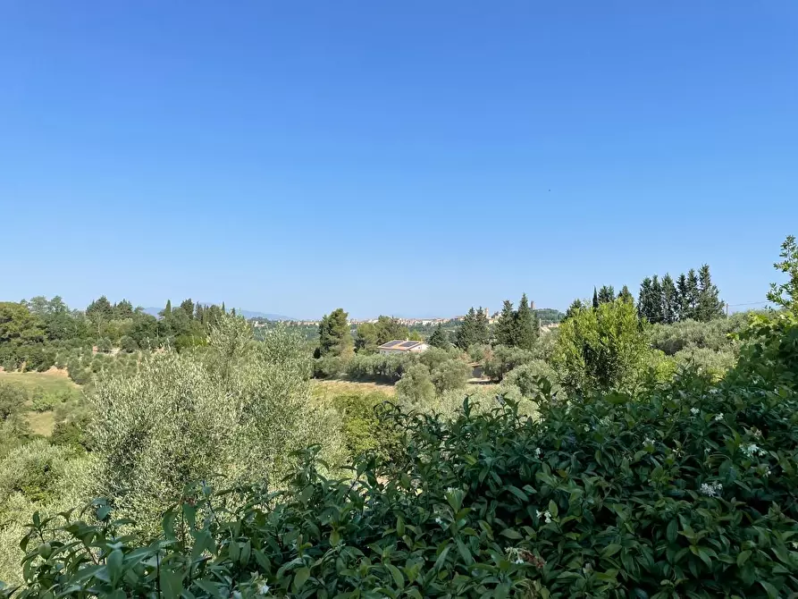 Immagine 45 di Casa colonica in vendita  a San Miniato