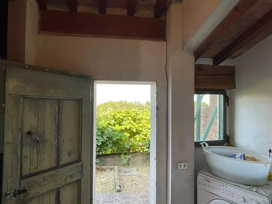 Immagine 67 di Casa colonica in vendita  a San Miniato