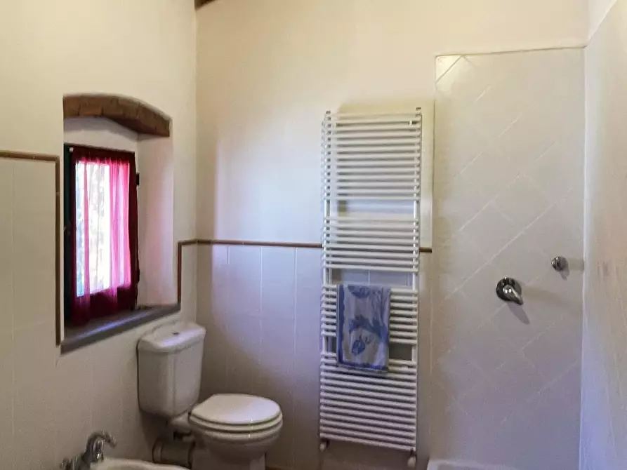 Immagine 62 di Casa colonica in vendita  a San Miniato