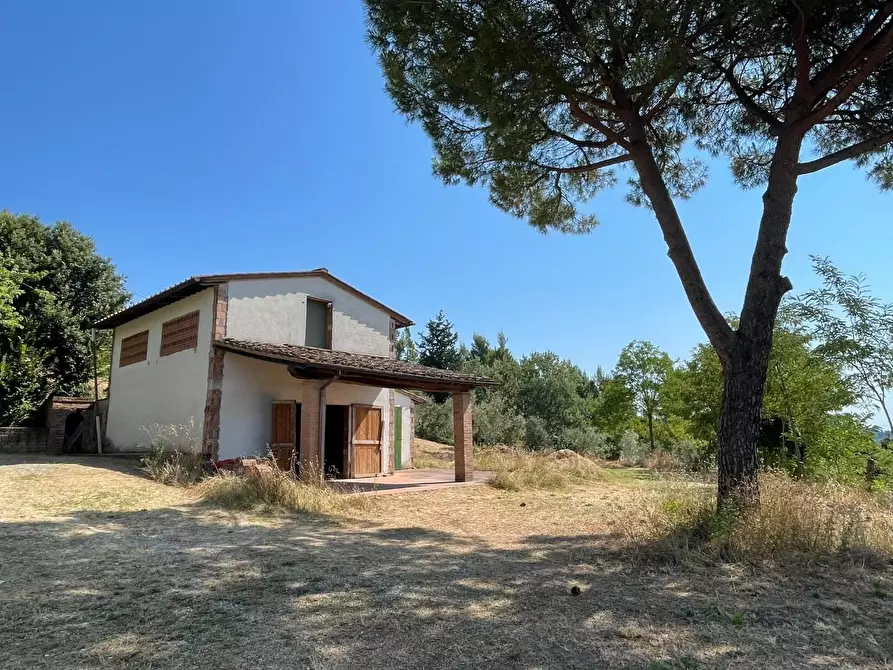 Immagine 8 di Casa colonica in vendita  a San Miniato