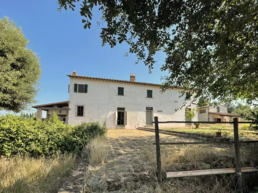 Immagine 33 di Casa colonica in vendita  a San Miniato