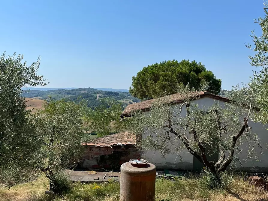 Immagine 85 di Casa colonica in vendita  a San Miniato