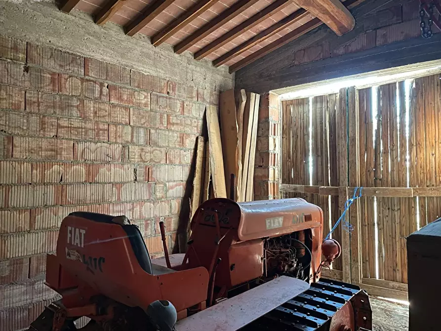 Immagine 36 di Casa colonica in vendita  a San Miniato