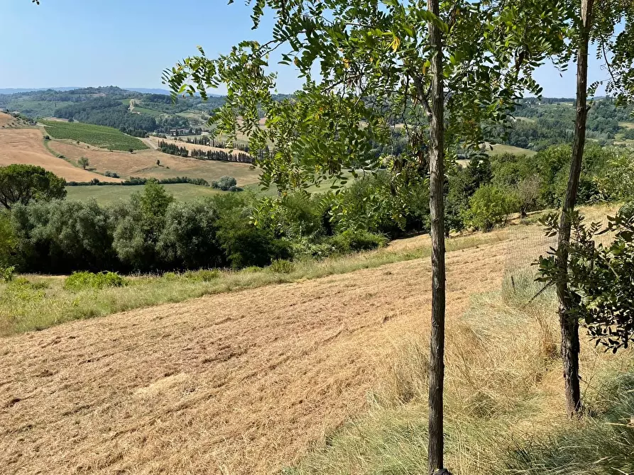 Immagine 41 di Casa colonica in vendita  a San Miniato