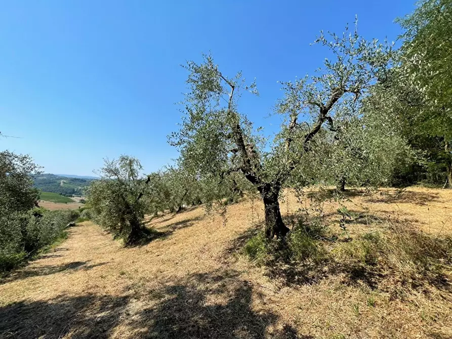 Immagine 86 di Casa colonica in vendita  a San Miniato