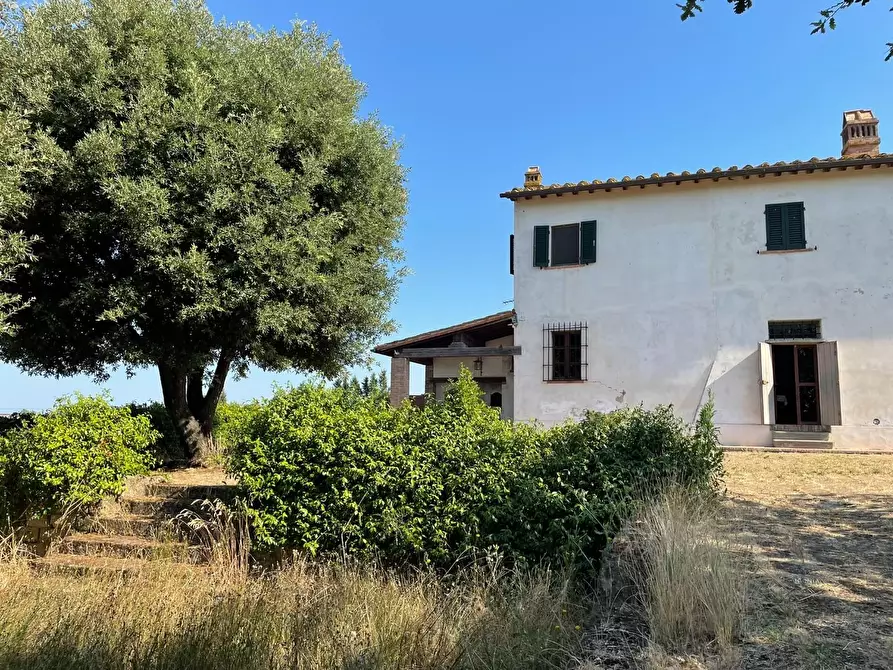 Immagine 3 di Casa colonica in vendita  a San Miniato