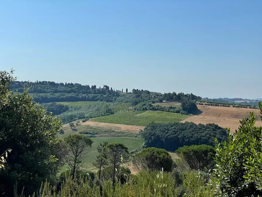 Immagine 80 di Casa colonica in vendita  a San Miniato