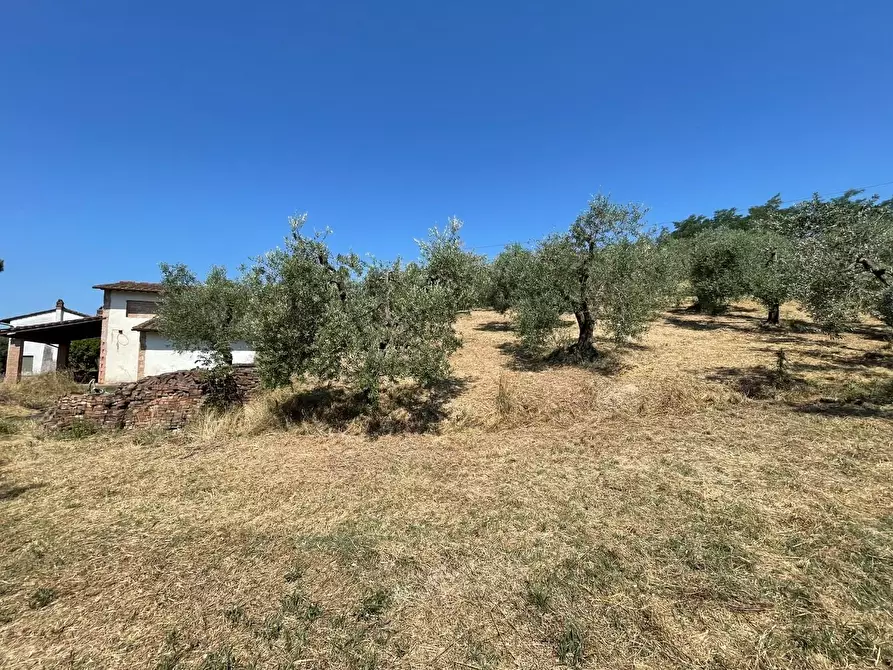 Immagine 43 di Casa colonica in vendita  a San Miniato