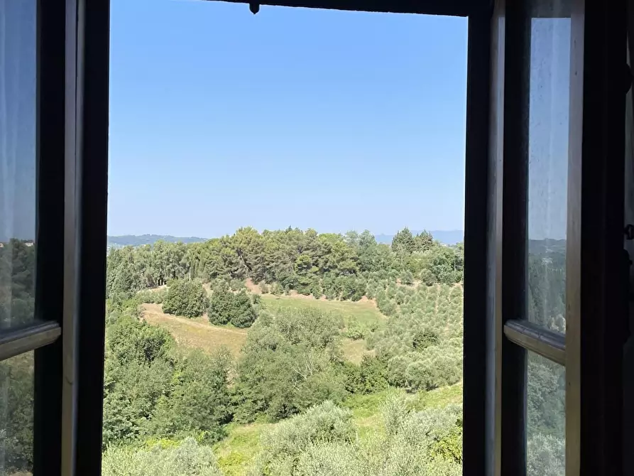 Immagine 53 di Casa colonica in vendita  a San Miniato
